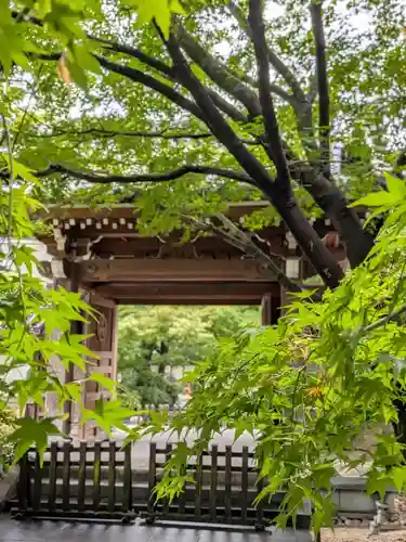高円寺(東京都)