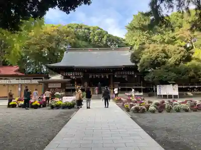 平塚八幡宮の本殿・本堂