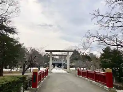 札幌護國神社の鳥居