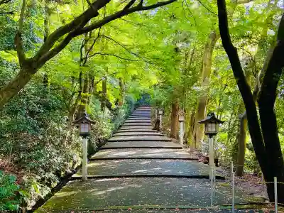 白山比咩神社(石川県)