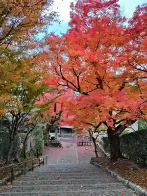 安楽寺(京都府)