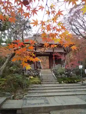 常寂光寺の山門・神門