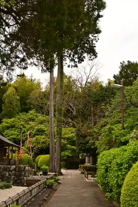 長泉院(埼玉県)