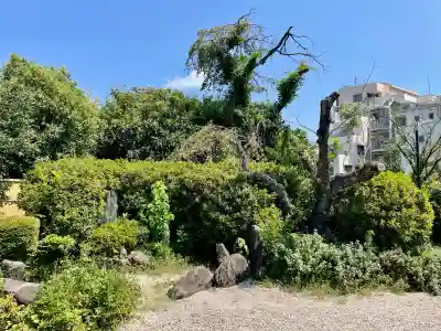 見光寺(神奈川県)