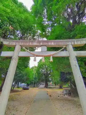 間黒神社(幸心)の鳥居