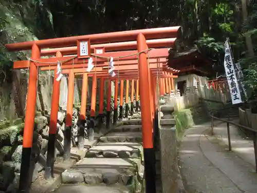 狸谷山不動院の鳥居