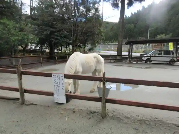丹生川上神社(下社)(奈良県)