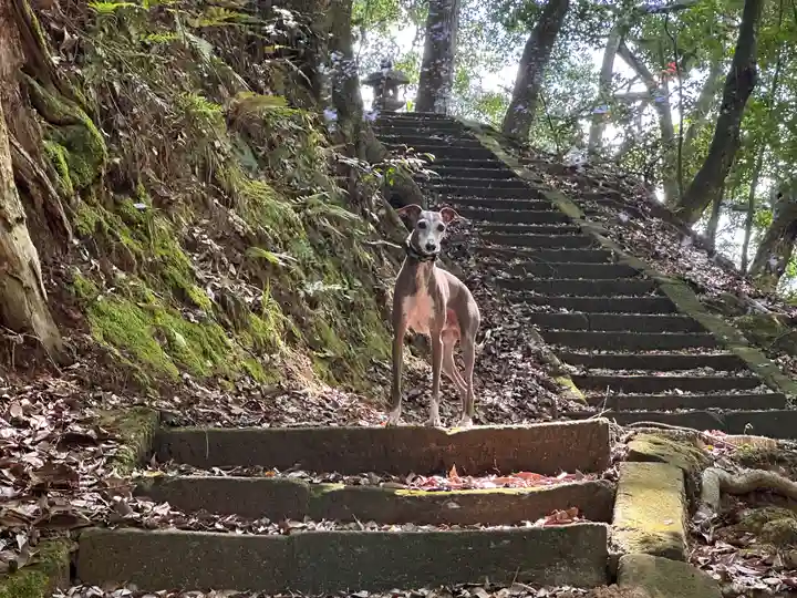 丸田神社(京都府)