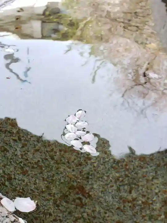 麻布氷川神社(東京都)