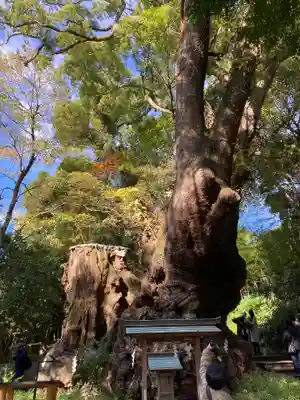 來宮神社(静岡県)