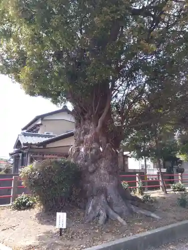 神明宮(愛知県)