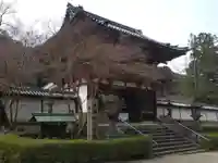 金剛寺の山門・神門