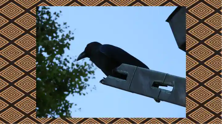 電気神社(茨城県)