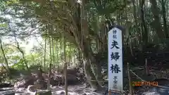 八重垣神社の自然