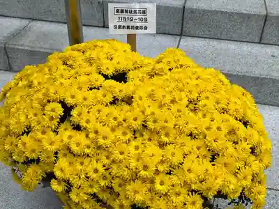 高麗神社(埼玉県)