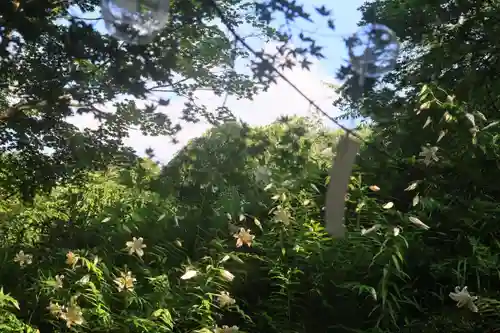 三春大神宮の景色