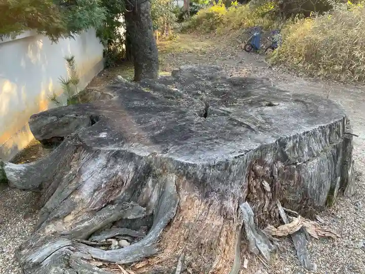 法雲院(京都府)