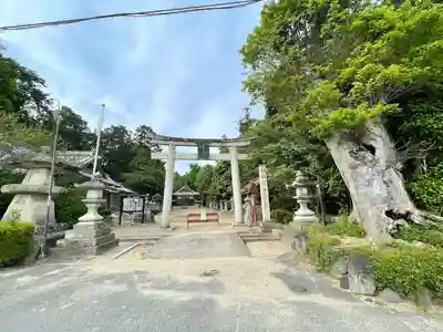屯倉神社(滋賀県)