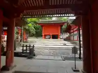 八雷神社(八龍神社)の{uncategorized: "未分類", other: "その他", undefined: "問題あり", building: "その他建物", grave: "お墓", sacred_gate: "鳥居", guardian: "狛犬", statue: "像", buddha: "仏像", history: "歴史", nature: "自然", garden: "庭園", animal: "動物", pagoda: "塔", temizu: "手水舎", mountain_gate: "山門・神門", sanctuary: "本殿・本堂", subordinate: "末社・摂社", art: "芸術", scenery: "景色", jizo: "地蔵", ema: "絵馬", goshuin: "御朱印", omikuji: "おみくじ", items: "授与品その他", amulet: "お守り", goshuincho: "御朱印帳", eats: "食事", festival: "お祭り", votive_dance: "神楽", shichigosan: "七五三参", wedding: "結婚式", experience: "体験その他", initially: "初詣", around: "周辺", anti_infection: "感染症対策"}