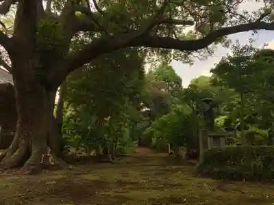 海寳寺(千葉県)