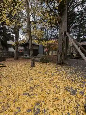 淺間神社（忍野八海）(山梨県)