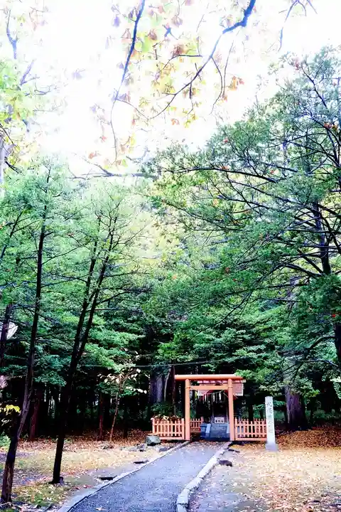 北海道神宮の鳥居