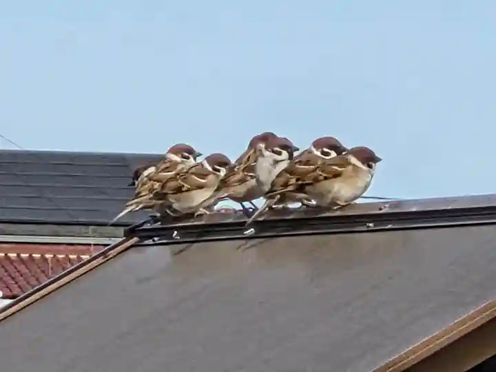 興全寺(神奈川県)