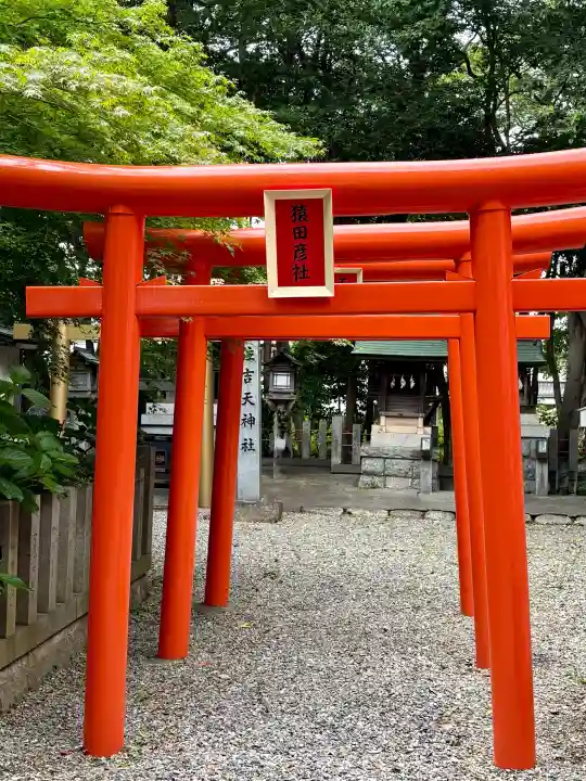 住吉神社(入水神社)(愛知県)