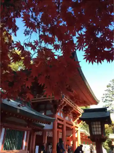 武蔵一宮氷川神社の山門・神門