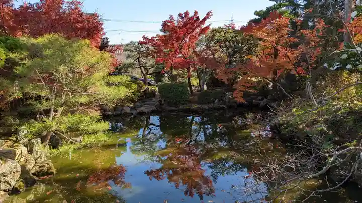 神光院(京都府)