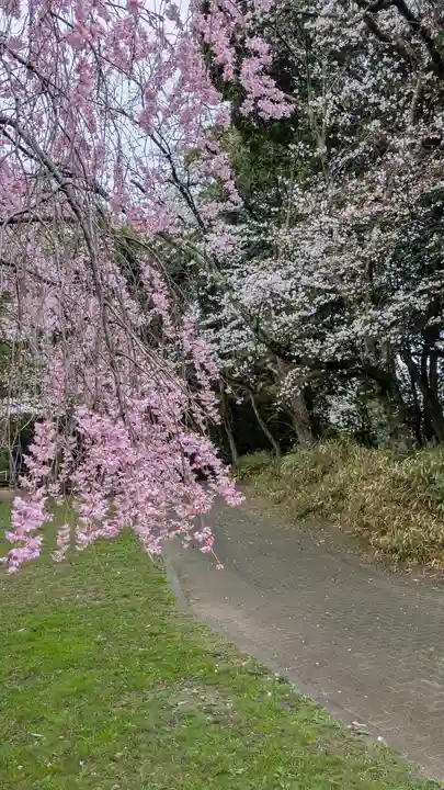 檜山神社(建部大社境外末社)(滋賀県)