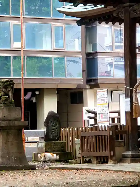 阿邪訶根神社の動物