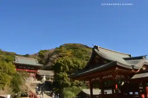 鶴岡八幡宮の景色