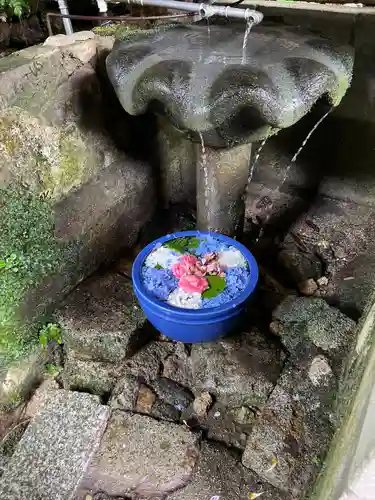 大聖寺（亀岡文殊）の手水舎
