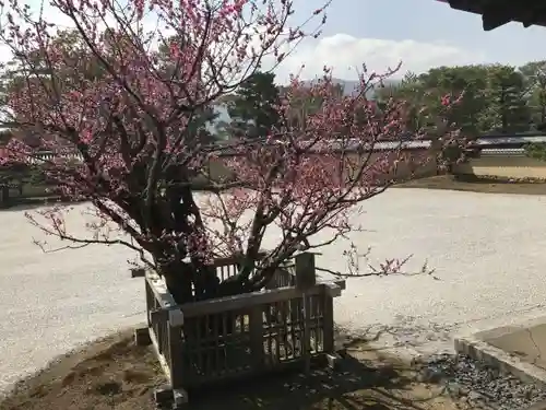 大覚寺の庭園