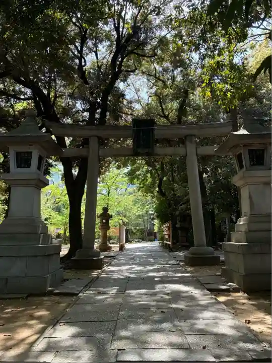 赤坂氷川神社(東京都)