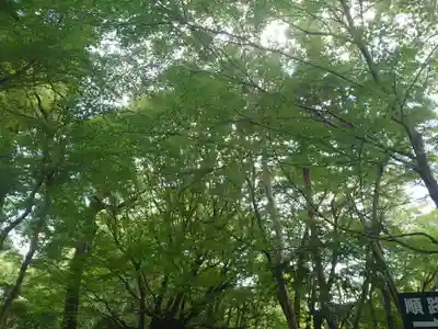 龍安寺(京都府)