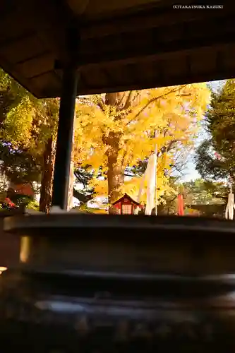 明王院（満願寺別院）の自然