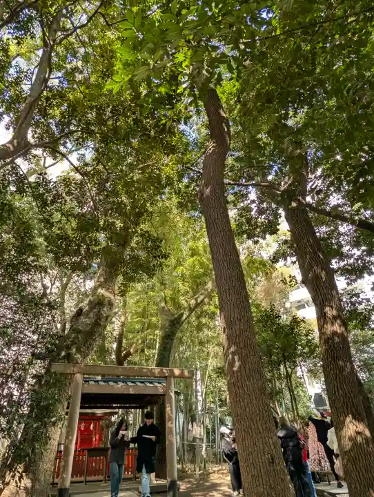生田神社の{uncategorized: "未分類", other: "その他", undefined: "問題あり", building: "その他建物", grave: "お墓", sacred_gate: "鳥居", guardian: "狛犬", statue: "像", buddha: "仏像", history: "歴史", nature: "自然", garden: "庭園", animal: "動物", pagoda: "塔", temizu: "手水舎", mountain_gate: "山門・神門", sanctuary: "本殿・本堂", subordinate: "末社・摂社", art: "芸術", scenery: "景色", jizo: "地蔵", ema: "絵馬", goshuin: "御朱印", omikuji: "おみくじ", items: "授与品その他", amulet: "お守り", goshuincho: "御朱印帳", eats: "食事", festival: "お祭り", votive_dance: "神楽", shichigosan: "七五三参", wedding: "結婚式", experience: "体験その他", initially: "初詣", around: "周辺", anti_infection: "感染症対策"}