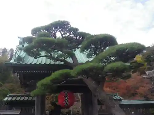 長谷寺の山門