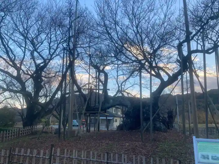 実相寺(山梨県)