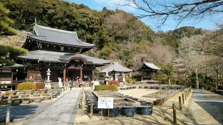 三室戸寺(京都府)