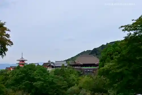 清水寺の景色