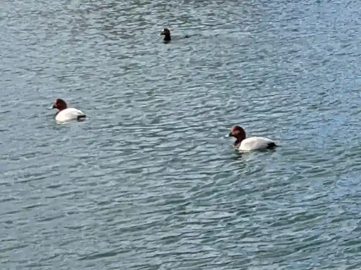 三和神社(香川県)