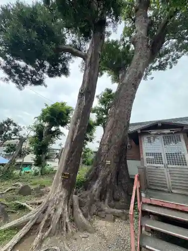 八幡神社(静岡県)