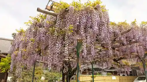 慈眼寺(京都府)