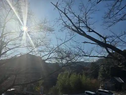 朝護孫子寺(奈良県)