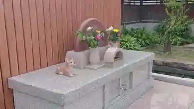 大運寺(静岡県)