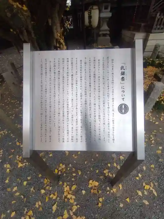 秩父神社(埼玉県)