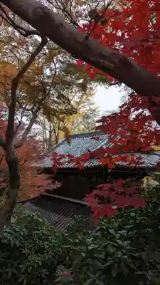観音寺（山崎聖天）(京都府)